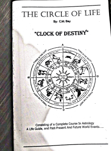 Circle Of Life Original by C.MBey.