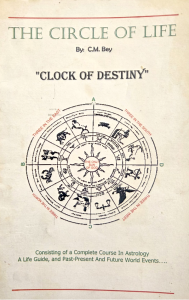 Circle Of Life Original by C.M.Bey